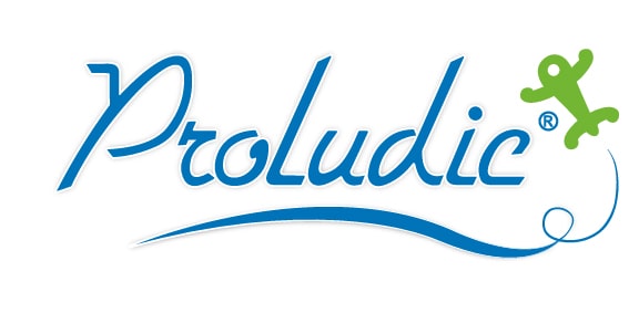 Produlic - Logo